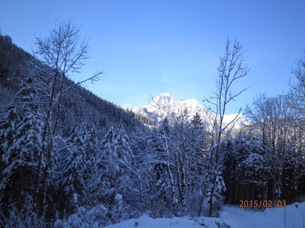 Almurlaub Buchebnerreith, Ferienwohnungen Hinterstoder Buitenkant foto