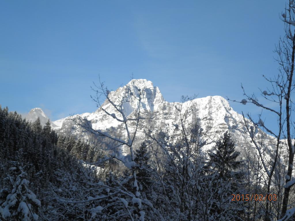Almurlaub Buchebnerreith, Ferienwohnungen Hinterstoder Buitenkant foto